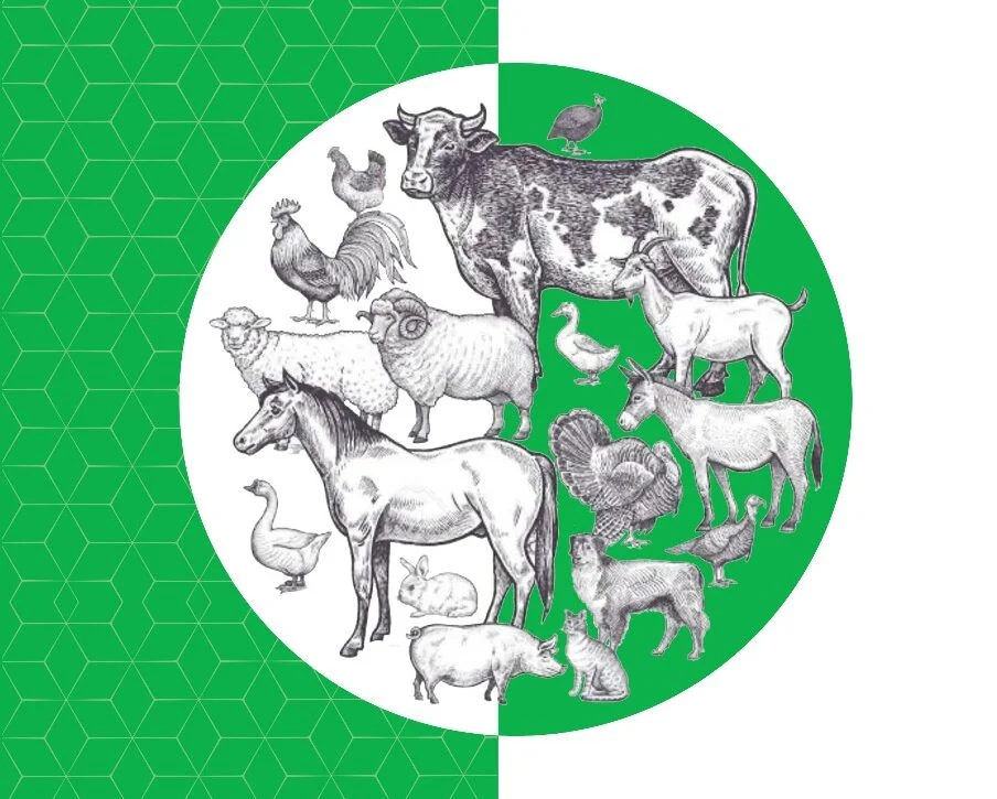 whatsapp image 2025 11 25 at 14.32.27 730a1ffe e1764263386209