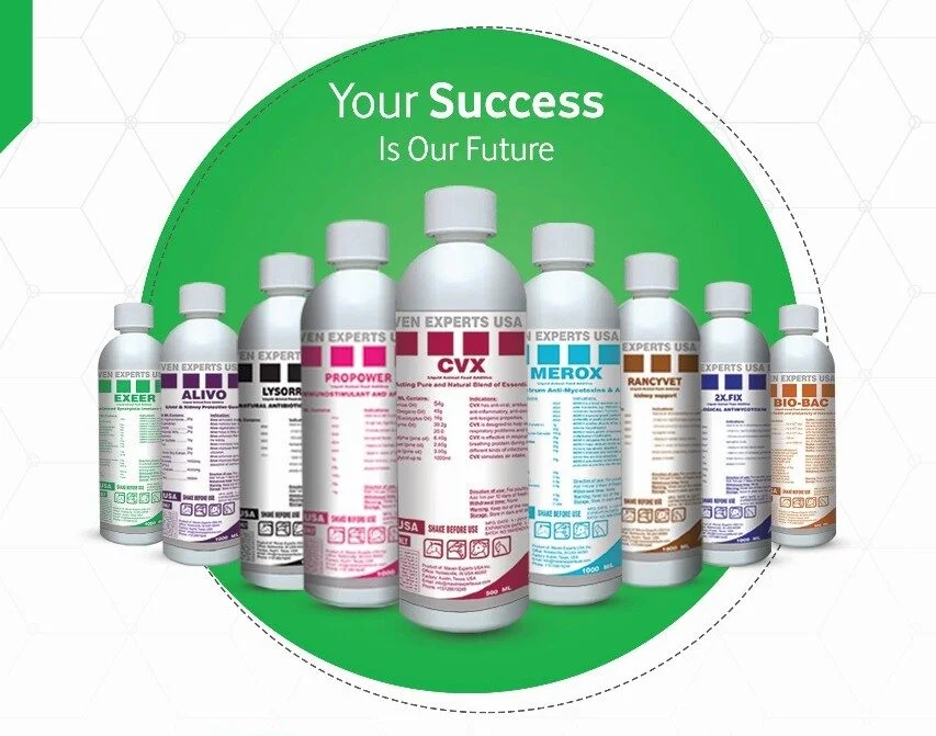 whatsapp image 2025 11 25 at 14.32.28 8949e3db1 e1767216769460